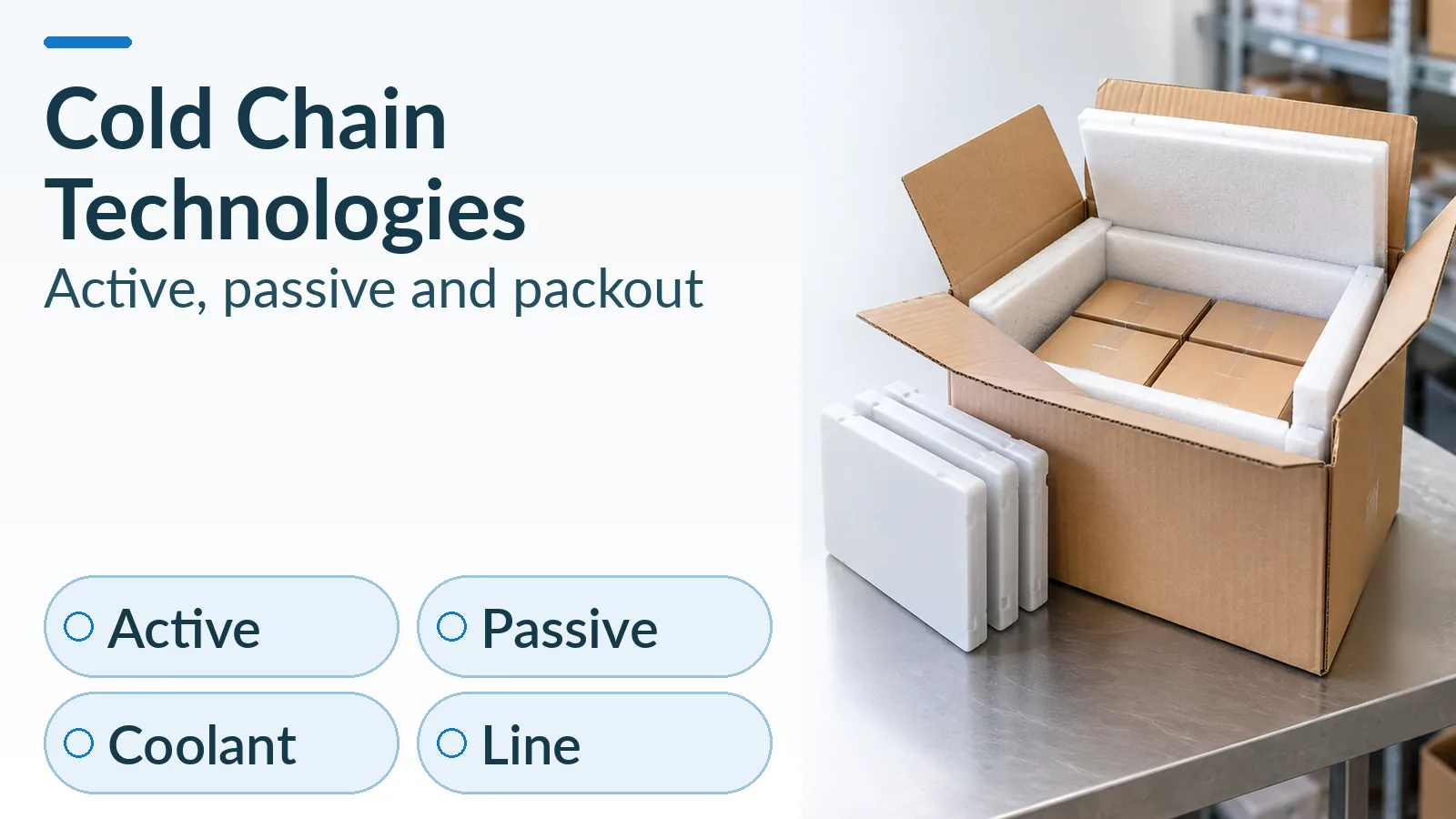 Open insulated carton and separate coolant panels beside the cold chain technologies guide title